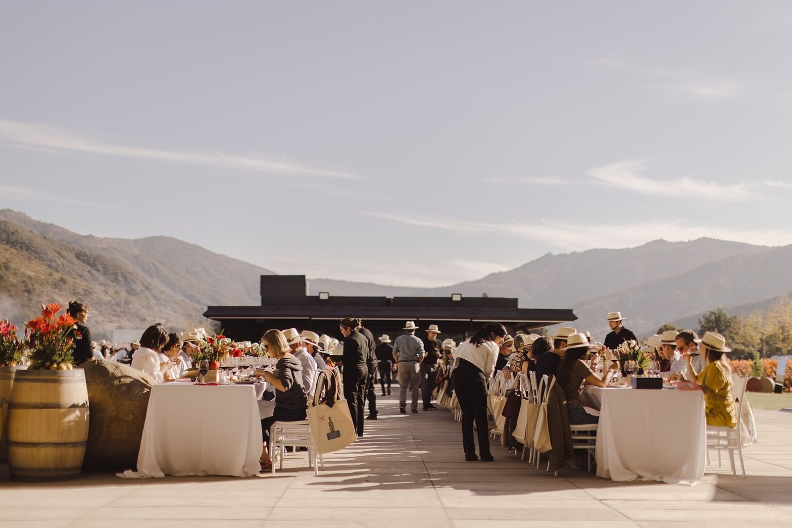 Vendimia VIK 2026 promete imersão sensorial no Chile