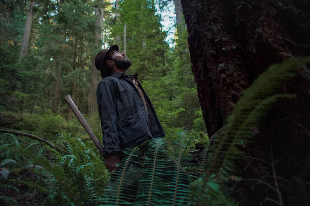 Oscar 2026: talento brasileño brilla en “Sueños de Tren” 1 Oscar 2026: talento brasileño brilla en “Sueños de Tren”