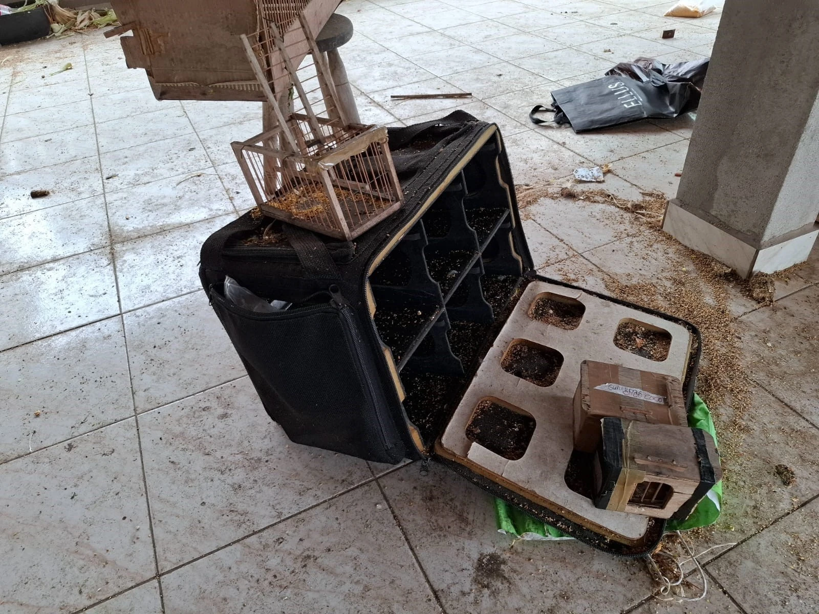 Cómo denunciar oferta de fauna silvestre sin exponerse 1 Cómo denunciar oferta de fauna silvestre sin exponerse