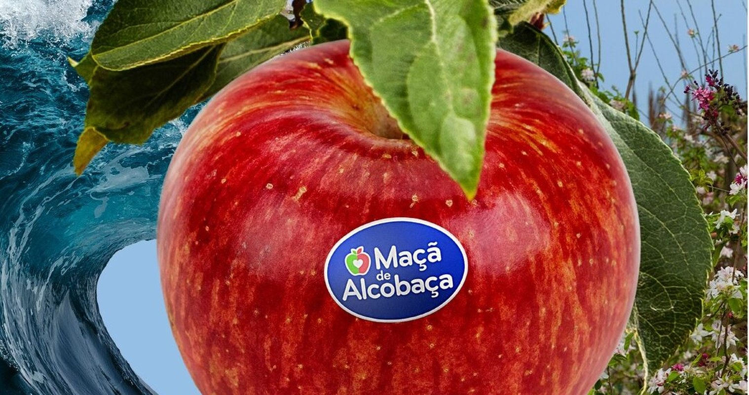 Maçã de Alcobaça conquista o Brasil na Fruit Attraction SP - Foto: Divulgação