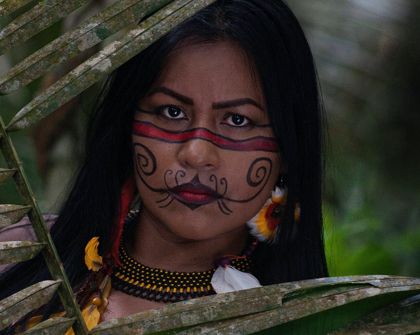 Festival dos Povos da Floresta reposiciona a arte amazônica - Foto: Divulgação