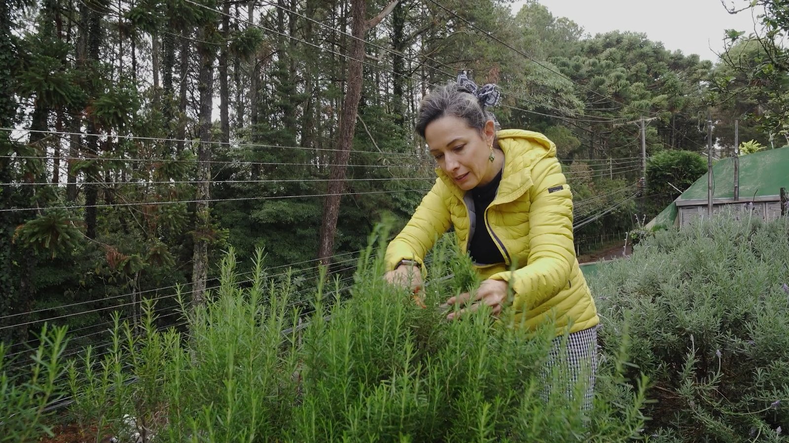 A chef Anouk Migotto ganha documentário poético sobre a Mantiqueira - Foto: Divulgação