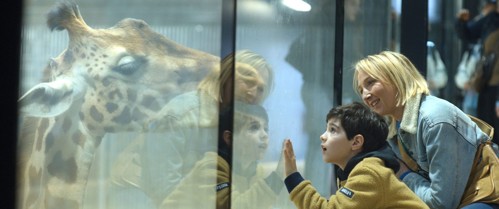 Elite Filmes lança 4 filmes no streaming em abril 5 Elite Filmes lança 4 filmes no streaming em abril