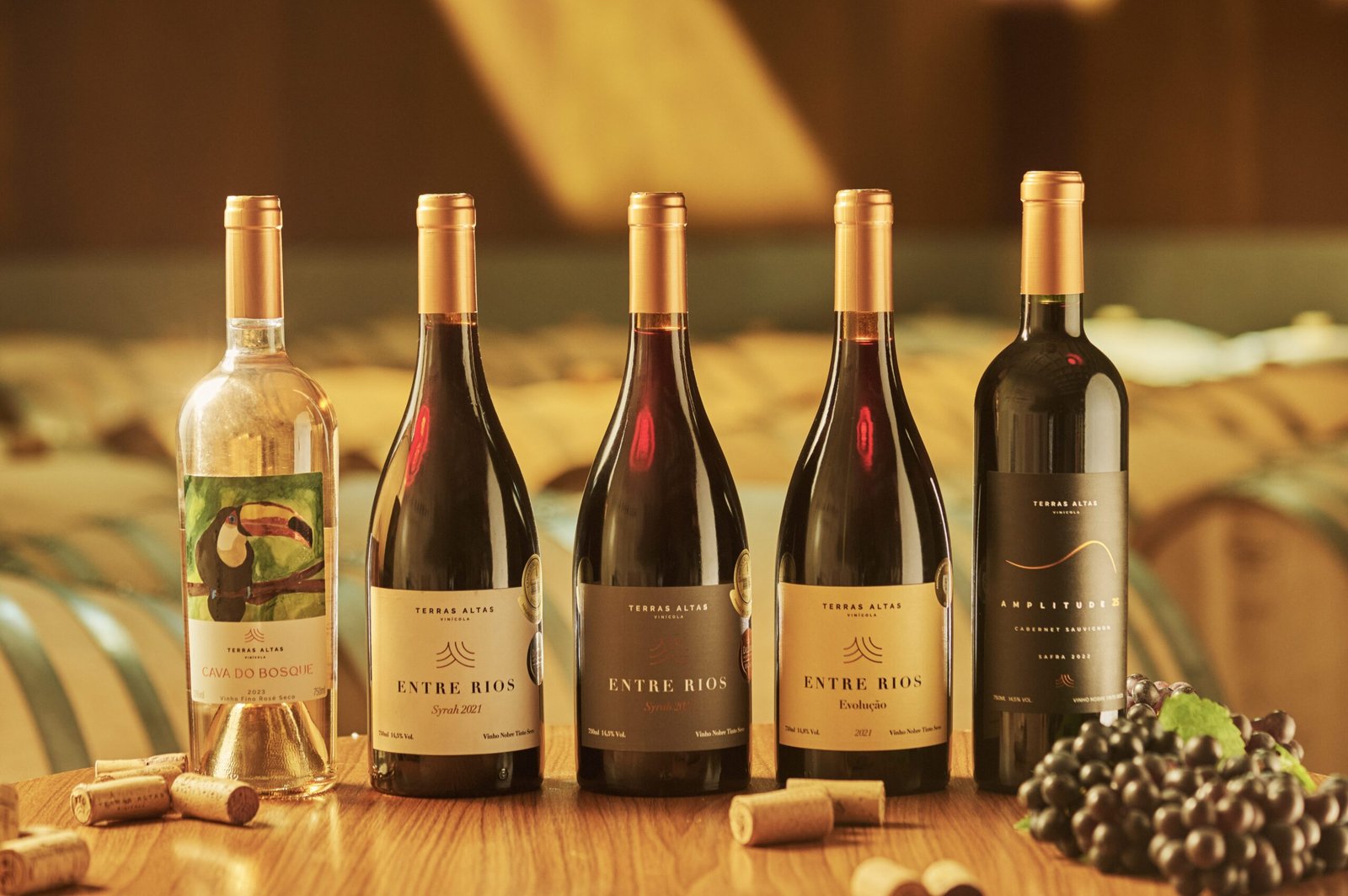 SP ganha 1º Festival de Vinhos com 30 vinícolas paulistas 1 SP ganha 1º Festival de Vinhos com 30 vinícolas paulistas - Foto: Divulgação