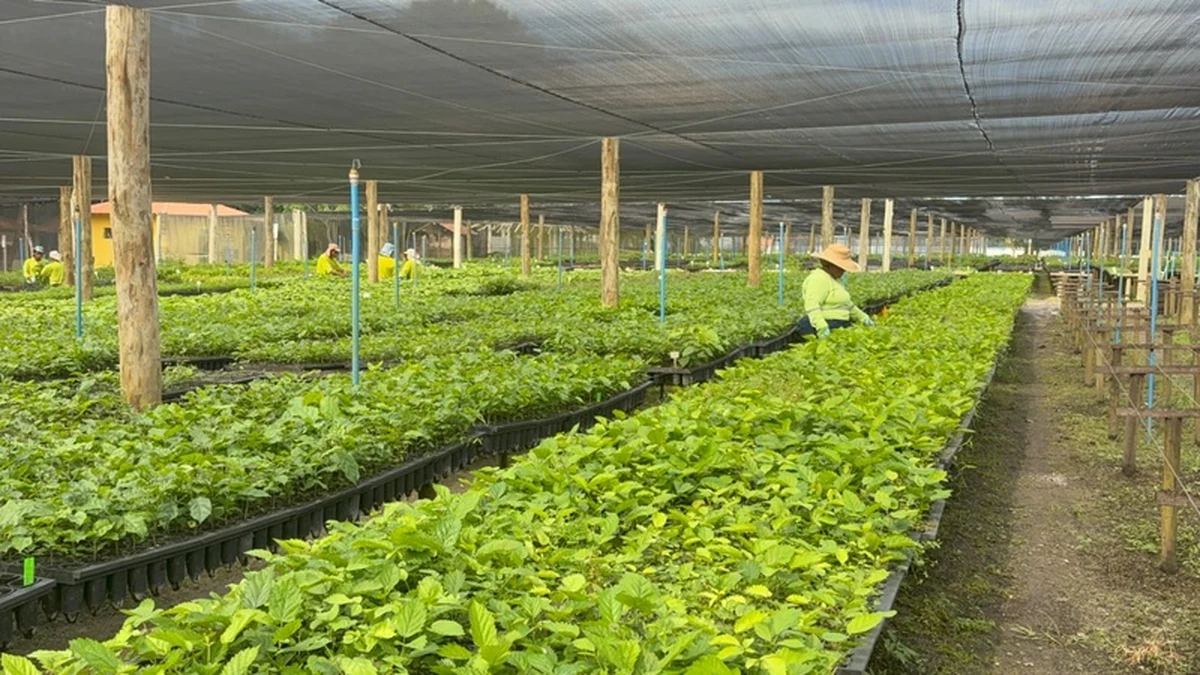 Symbiosis honored at Gala Trancoso for Atlantic Forest restoration