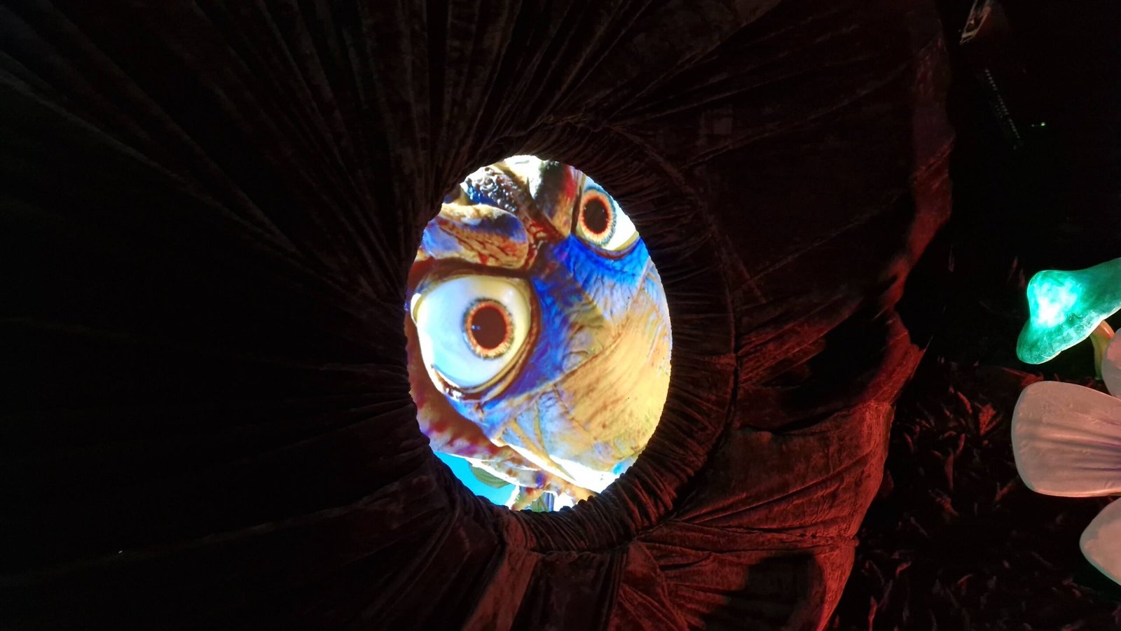 Pixar's 14-Room Immersive World Opens in Rio