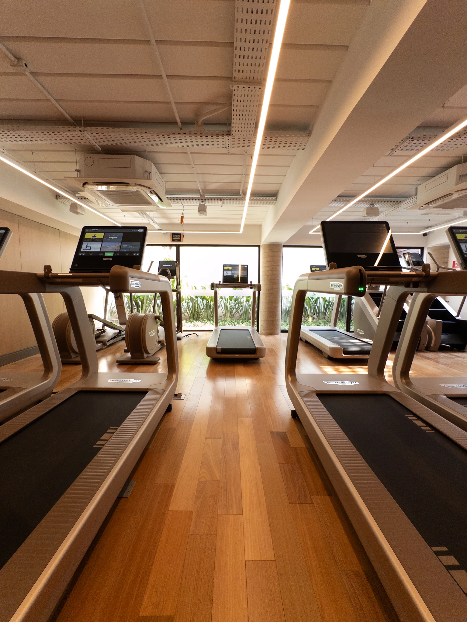 5 dicas para viver bem o feriado em São Paulo