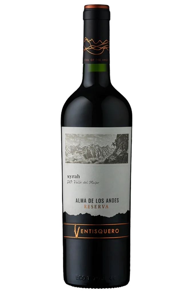 6 vinhos chilenos para o churrasco perfeito