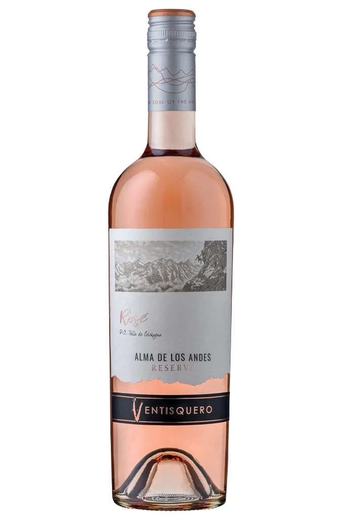 6 vinhos chilenos para o churrasco perfeito