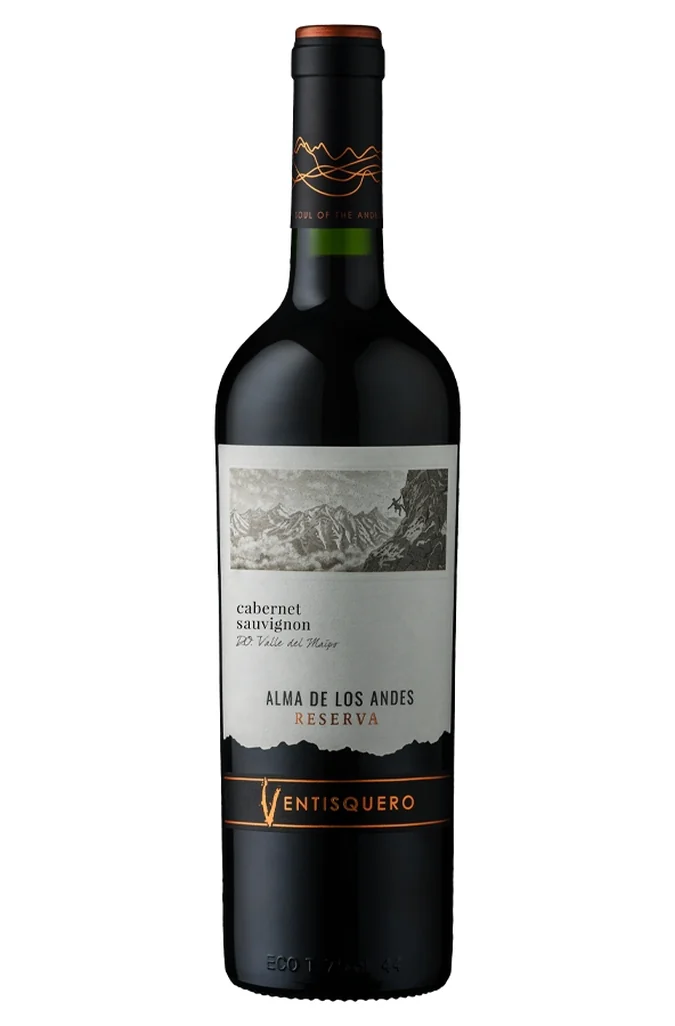 6 vinhos chilenos para o churrasco perfeito