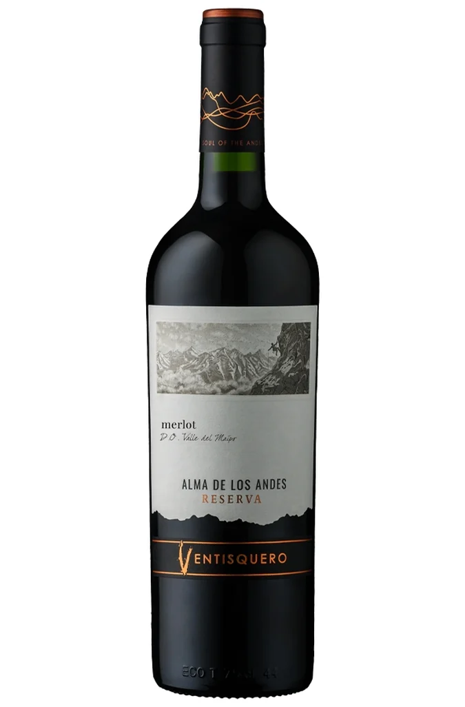 6 vinhos chilenos para o churrasco perfeito