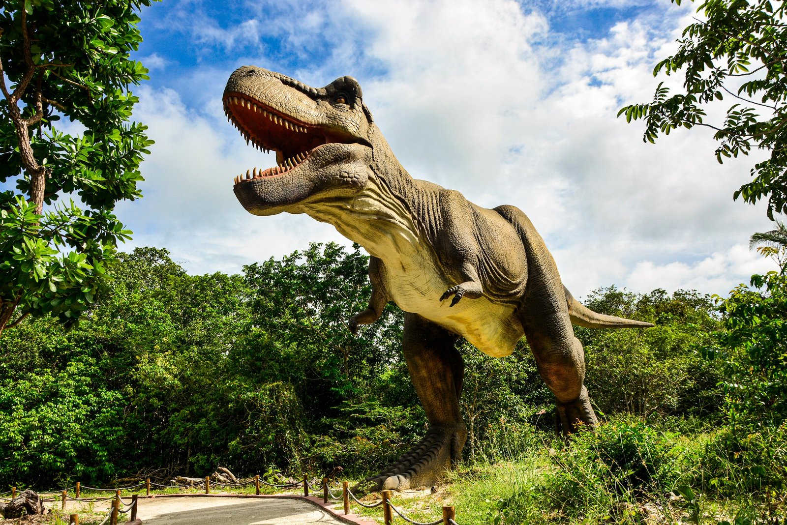 Alchymist abre de graça para os 300 primeiros em homenagem a Fortaleza