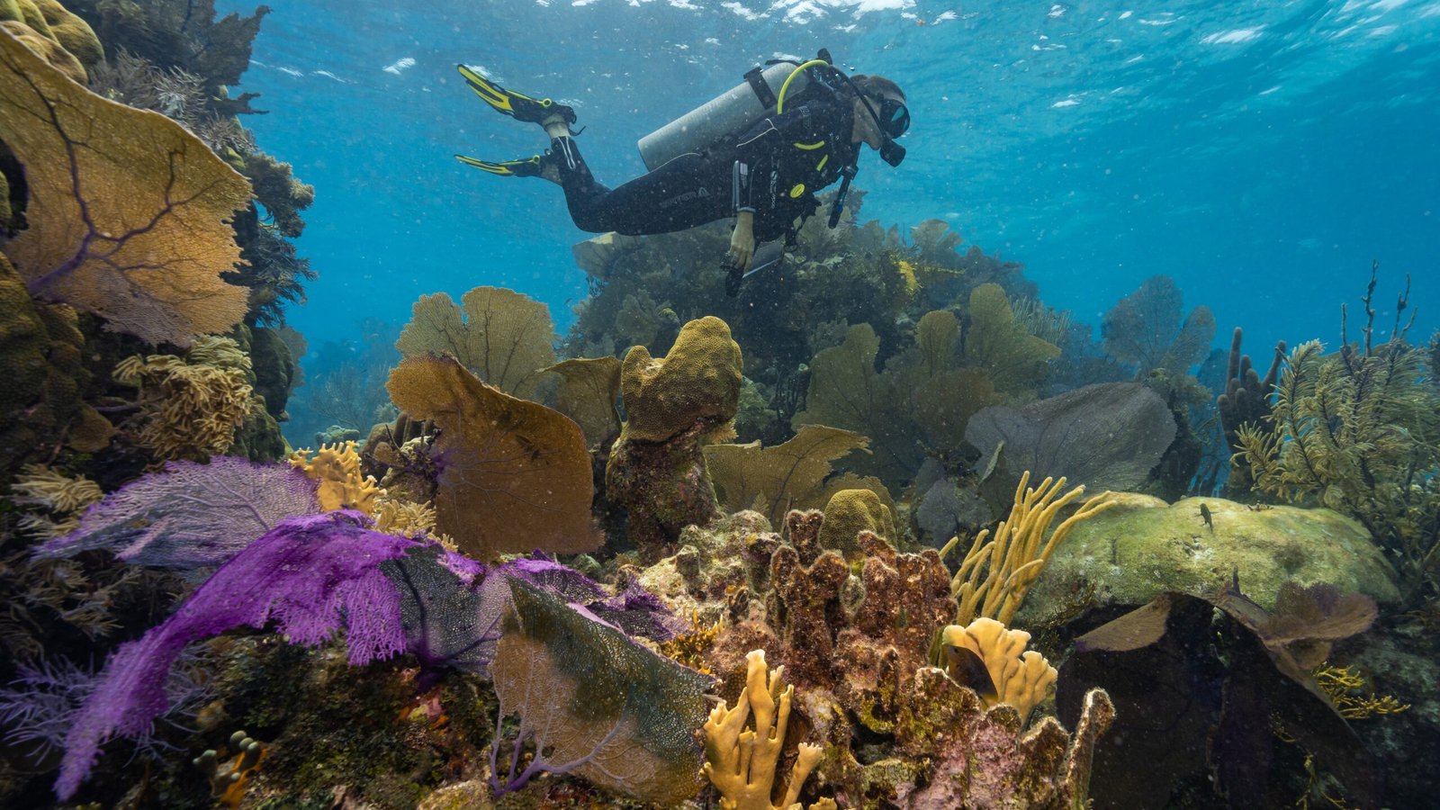 Belize fora da temporada revela seu lado mais autêntico 3 Belize fora da temporada revela seu lado mais autêntico