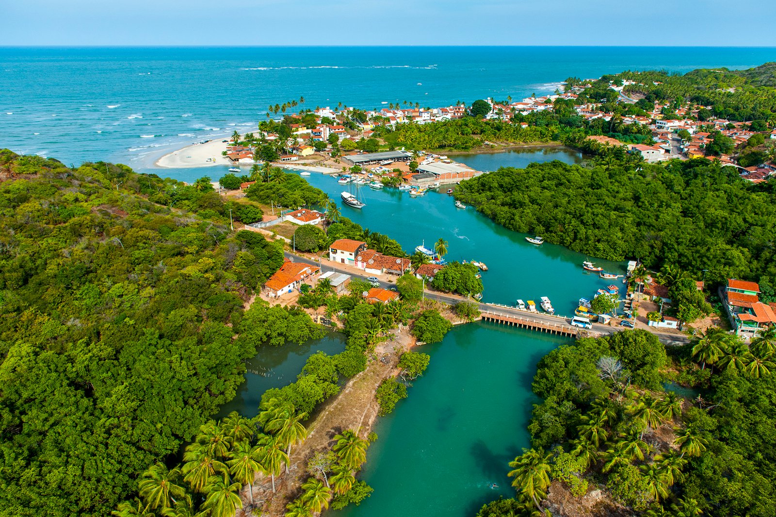 Cajueiro gigante e praias deslumbrantes: Conheça cinco atrações imperdíveis em Parnamirim