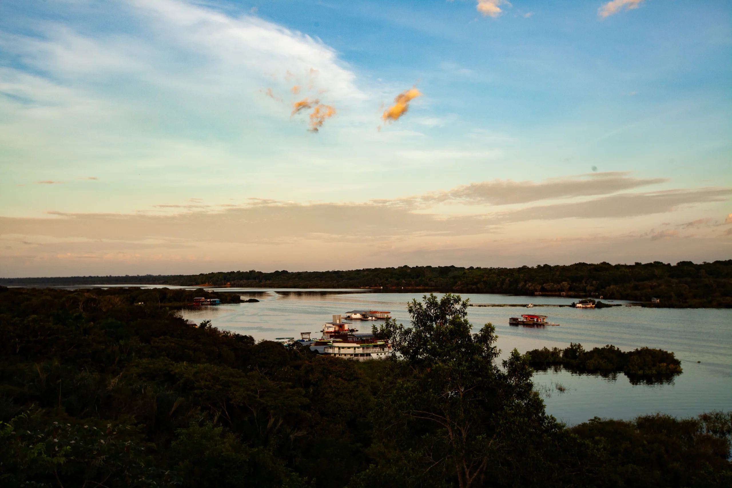 The Summer Hunter leva 20 criadores para a Amazônia