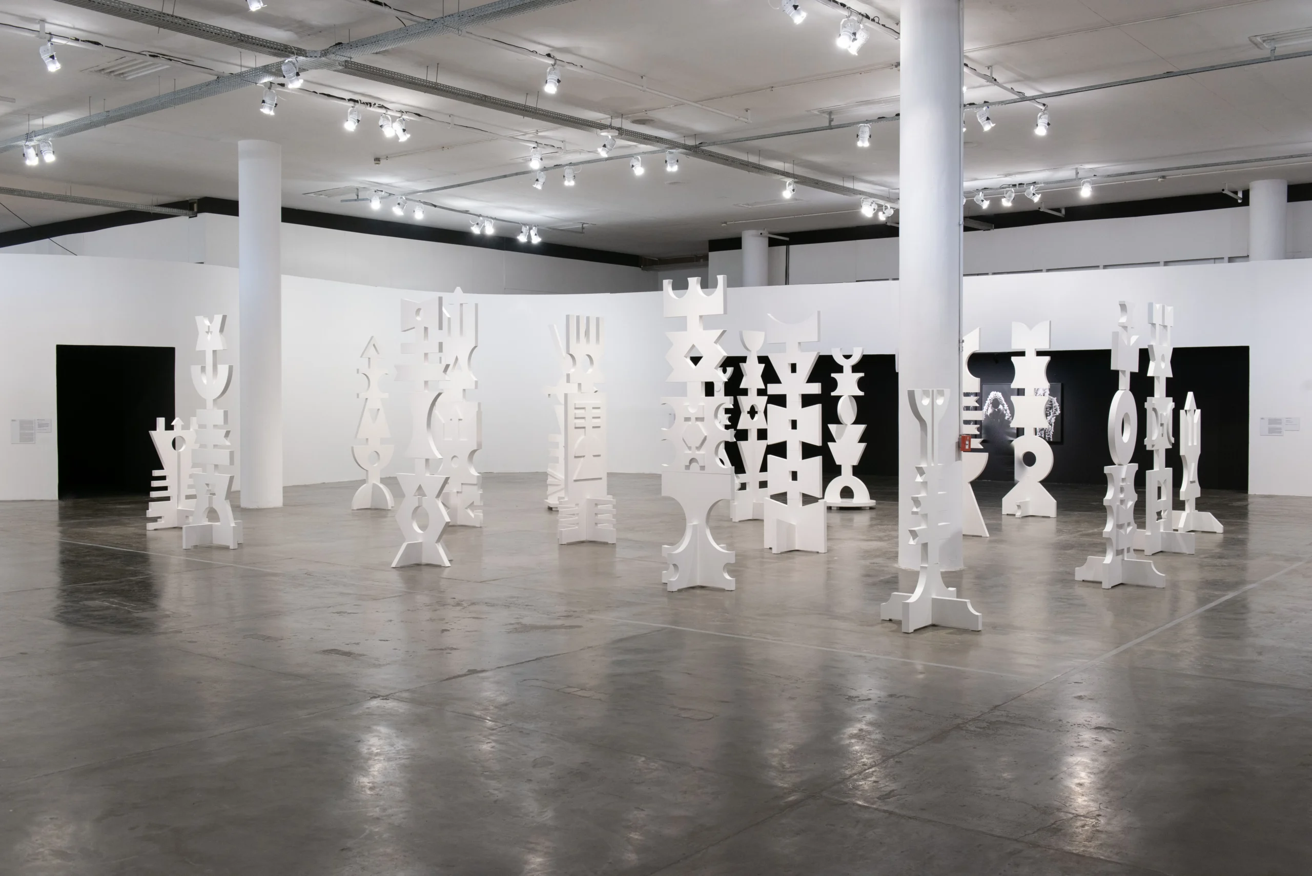 MAM Rio Opens Major Rubem Valentim Retrospective