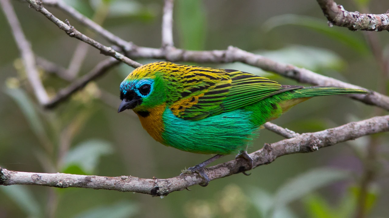 Caraça: paz, cultura e natureza a 120 km de BH