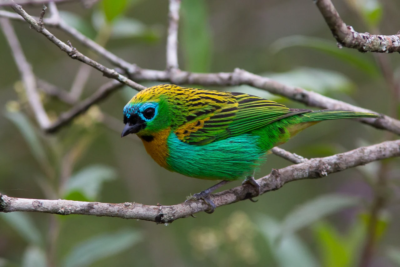 Caraça: paz, cultura e natureza a 120 km de BH