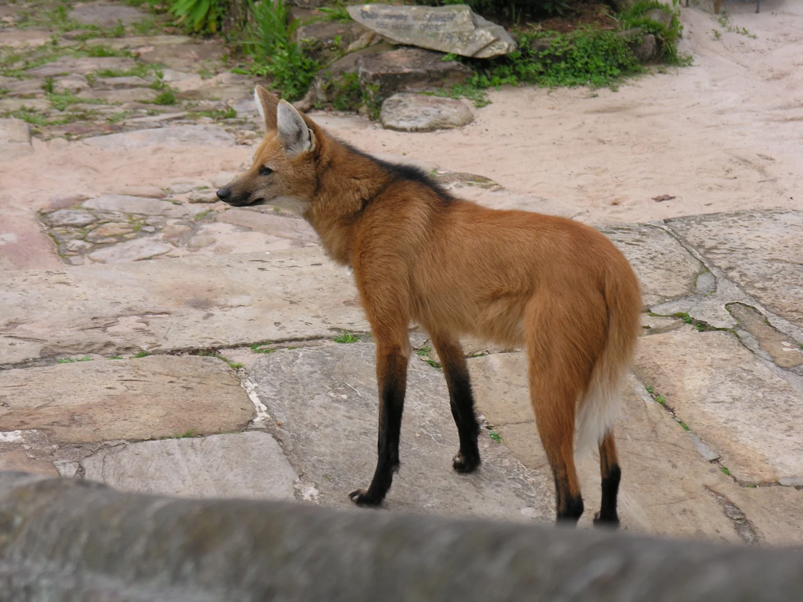 Caraça: paz, cultura e natureza a 120 km de BH