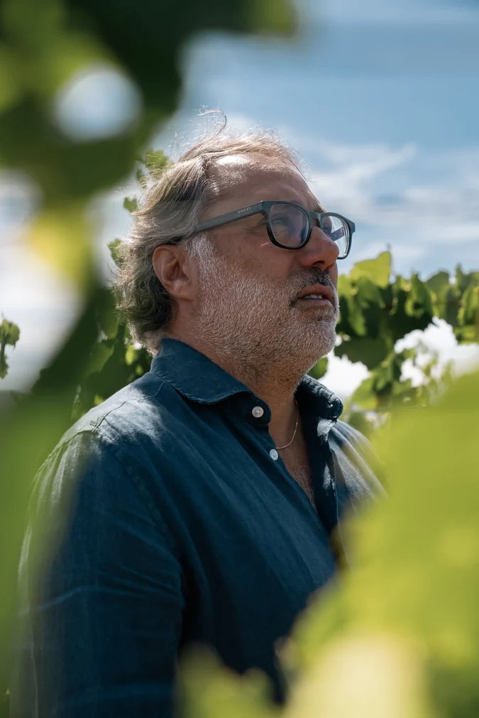 Concha y Toro cria Viña Amelia e mira elite global