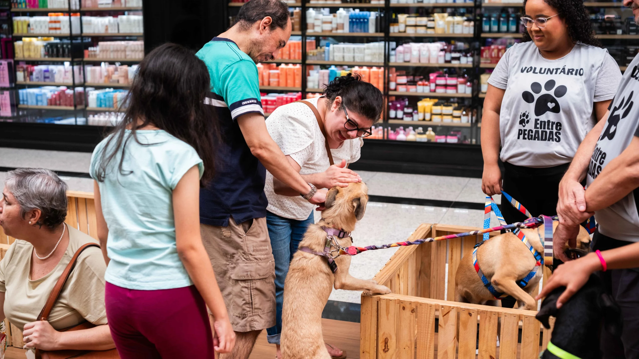 Pet adoption fair comes to Carioca Shopping this Saturday