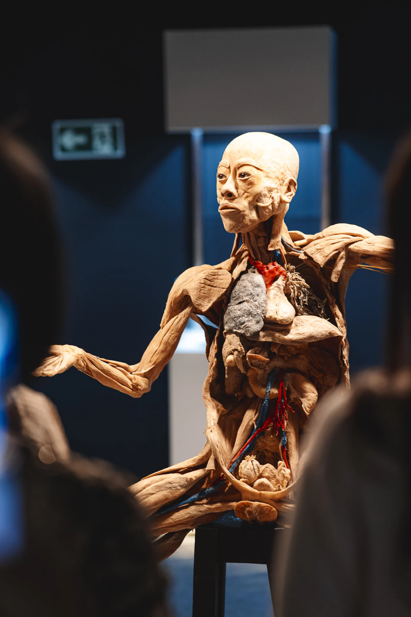 Human Bodies bate 5 mil visitantes em 15 dias