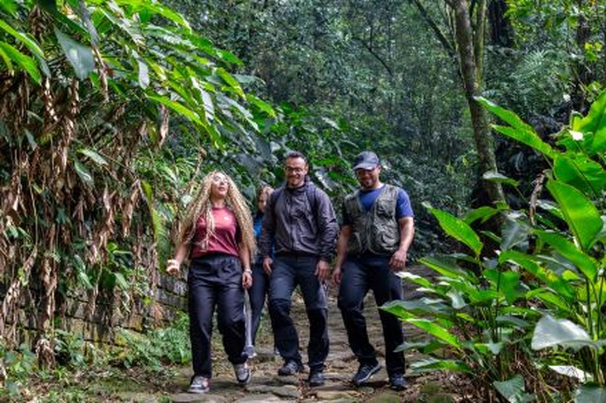 R$ 15 no Caminhos do Mar: natureza e história perto de SP