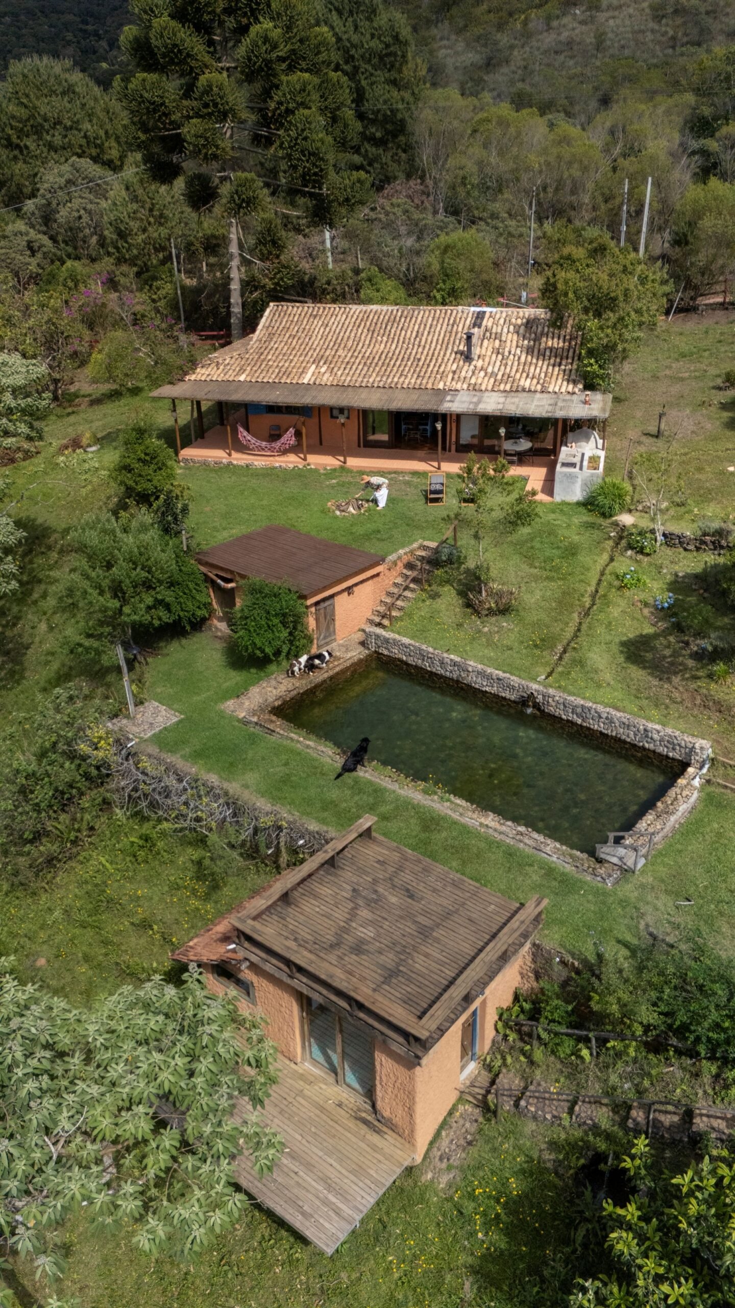 Casa da Bocaina: natureza, arte e imersão aquática