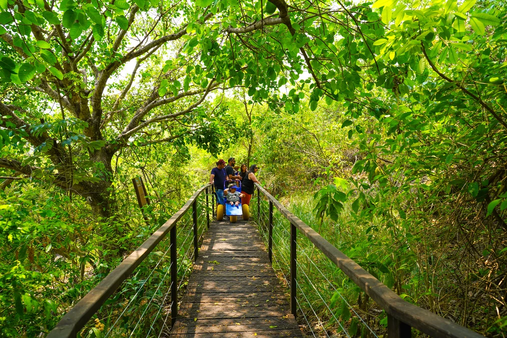 Nascente Azul lidera rota de turismo acessível no MS
