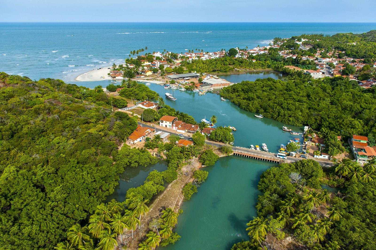 O cajueiro mais famoso do mundo fica a 12 km de Natal