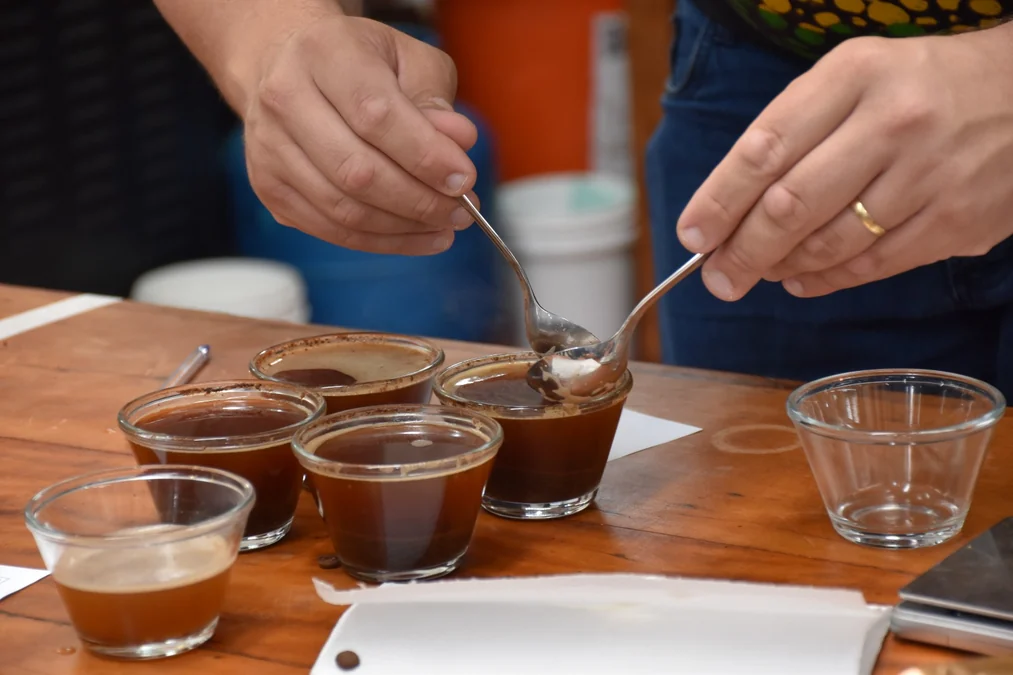O festival que une café, vinho e terroir vulcânico em MG