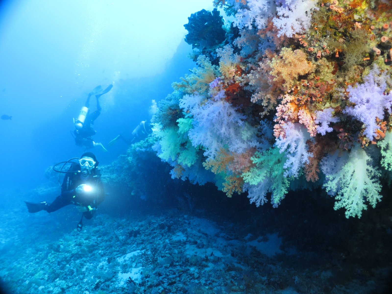 O paraíso do mergulho escondido no Atol Raa