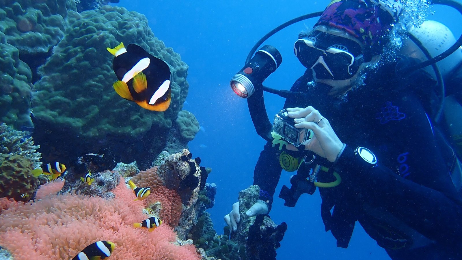 O paraíso do mergulho escondido no Atol Raa