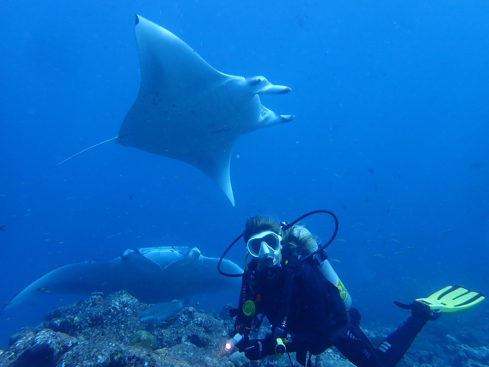 O paraíso do mergulho escondido no Atol Raa