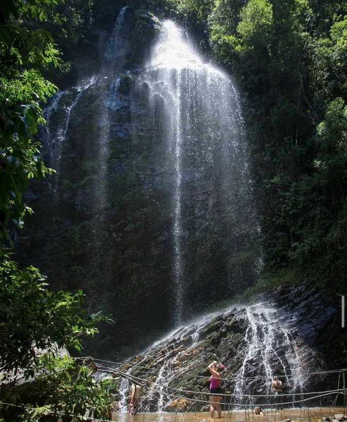 O refúgio a 40 km de Curitiba que preserva e conscientiza