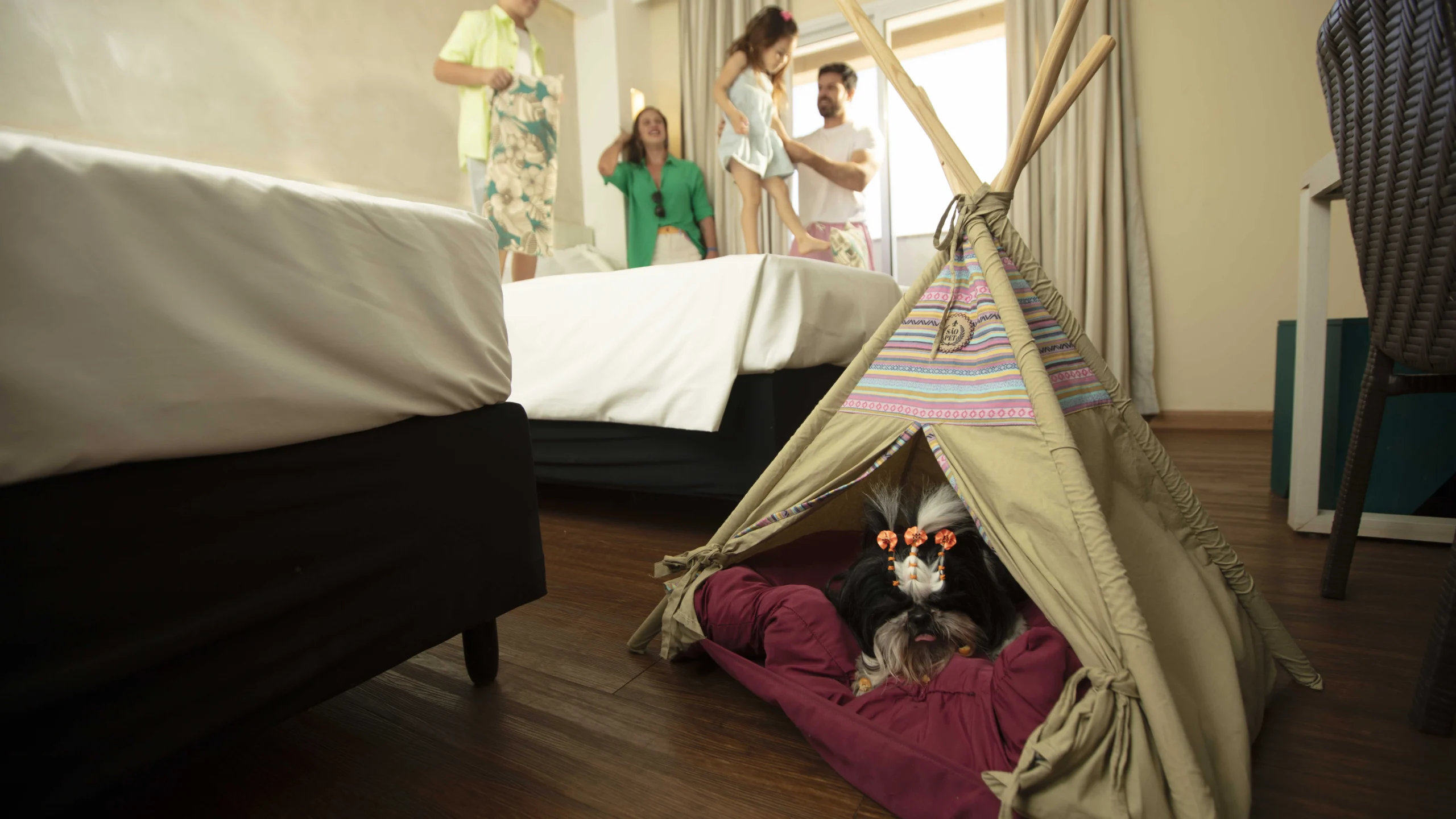 Resort em SP dobra aposta em pets e planeja 20 apartamentos