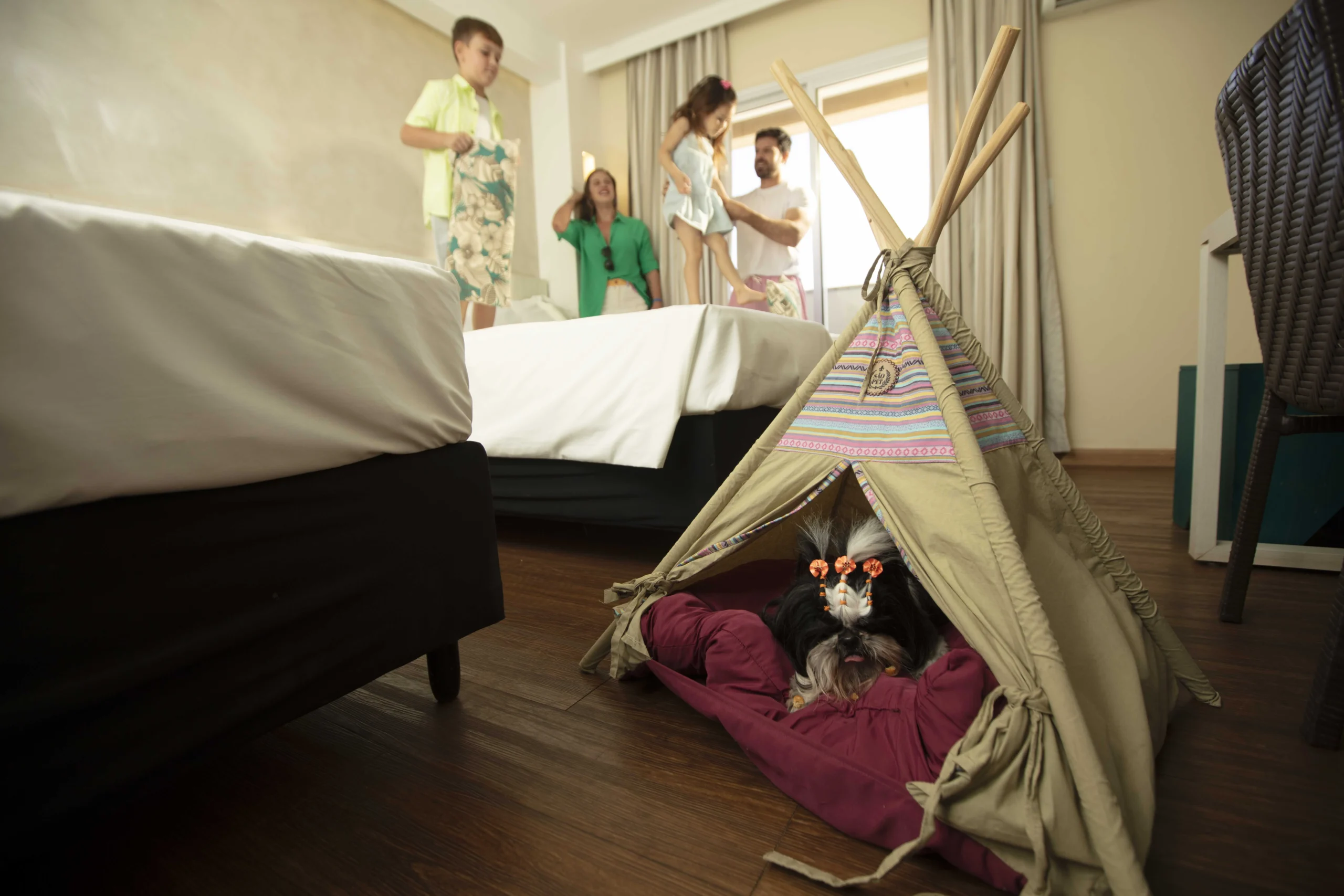 Resort em SP dobra aposta em pets e planeja 20 apartamentos