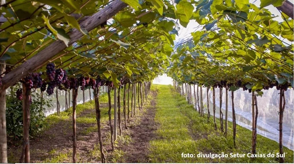 Serra Gaúcha com até 27% off: aproveite o outono e inverno