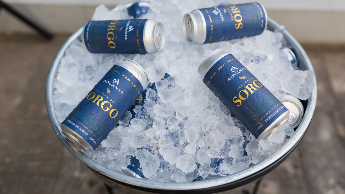 Sorgo vira cerveja artesanal sem glúten em parceria inédita