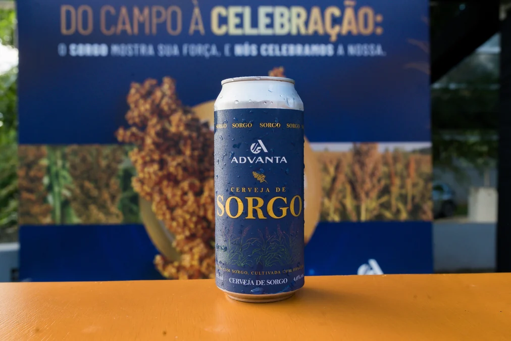 Sorgo vira cerveja artesanal sem glúten em parceria inédita