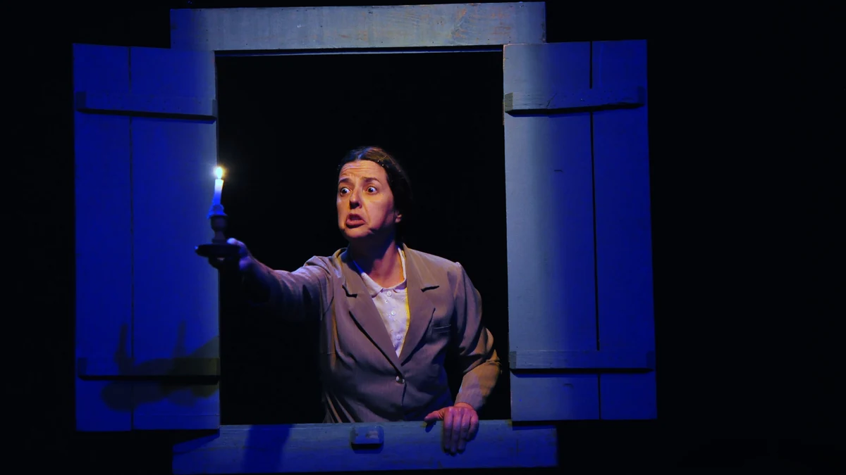 Vanderleia Will traz três espetáculos gratuitos a Florianópolis