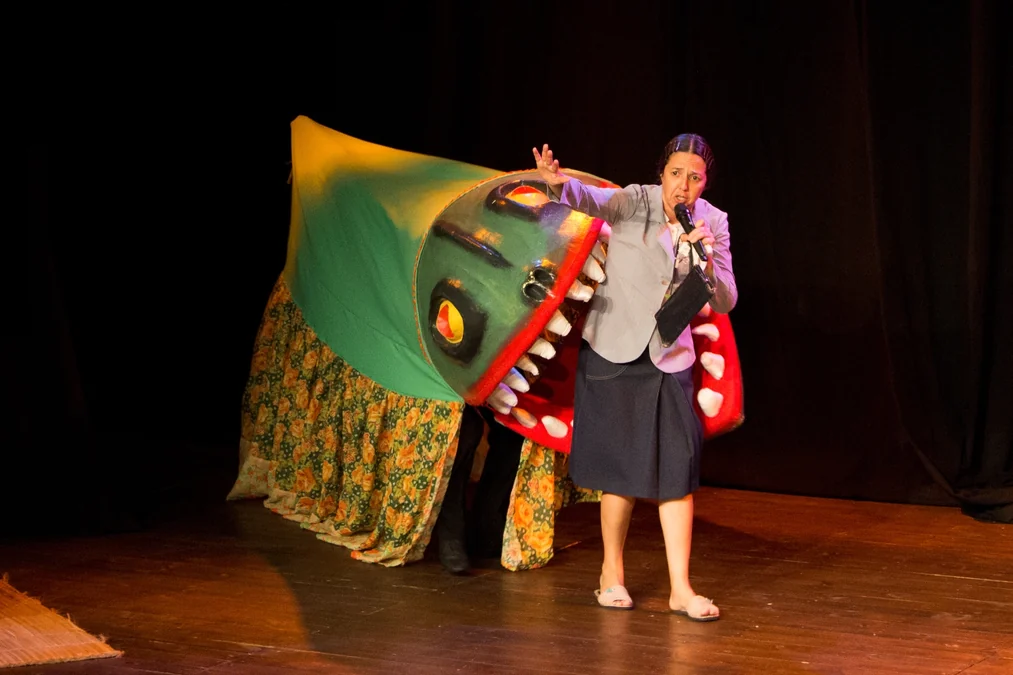 Vanderleia Will traz três espetáculos gratuitos a Florianópolis