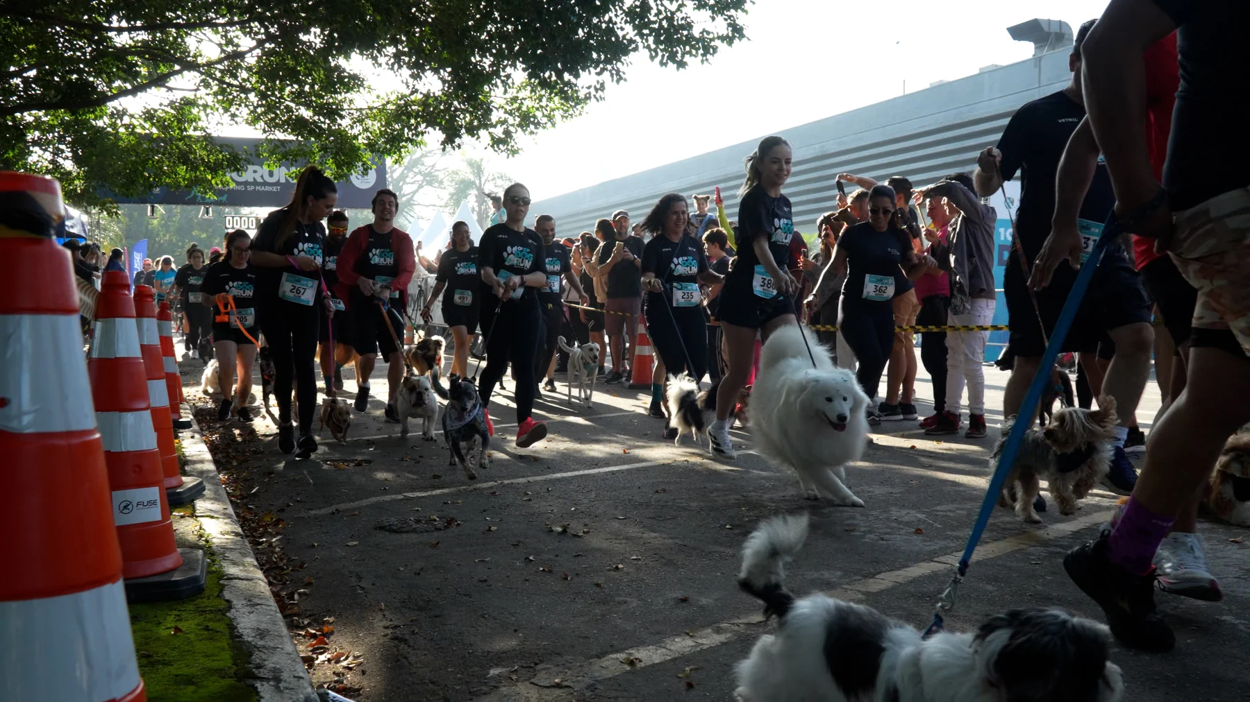 A corrida que une tutores e cães volta a São Paulo