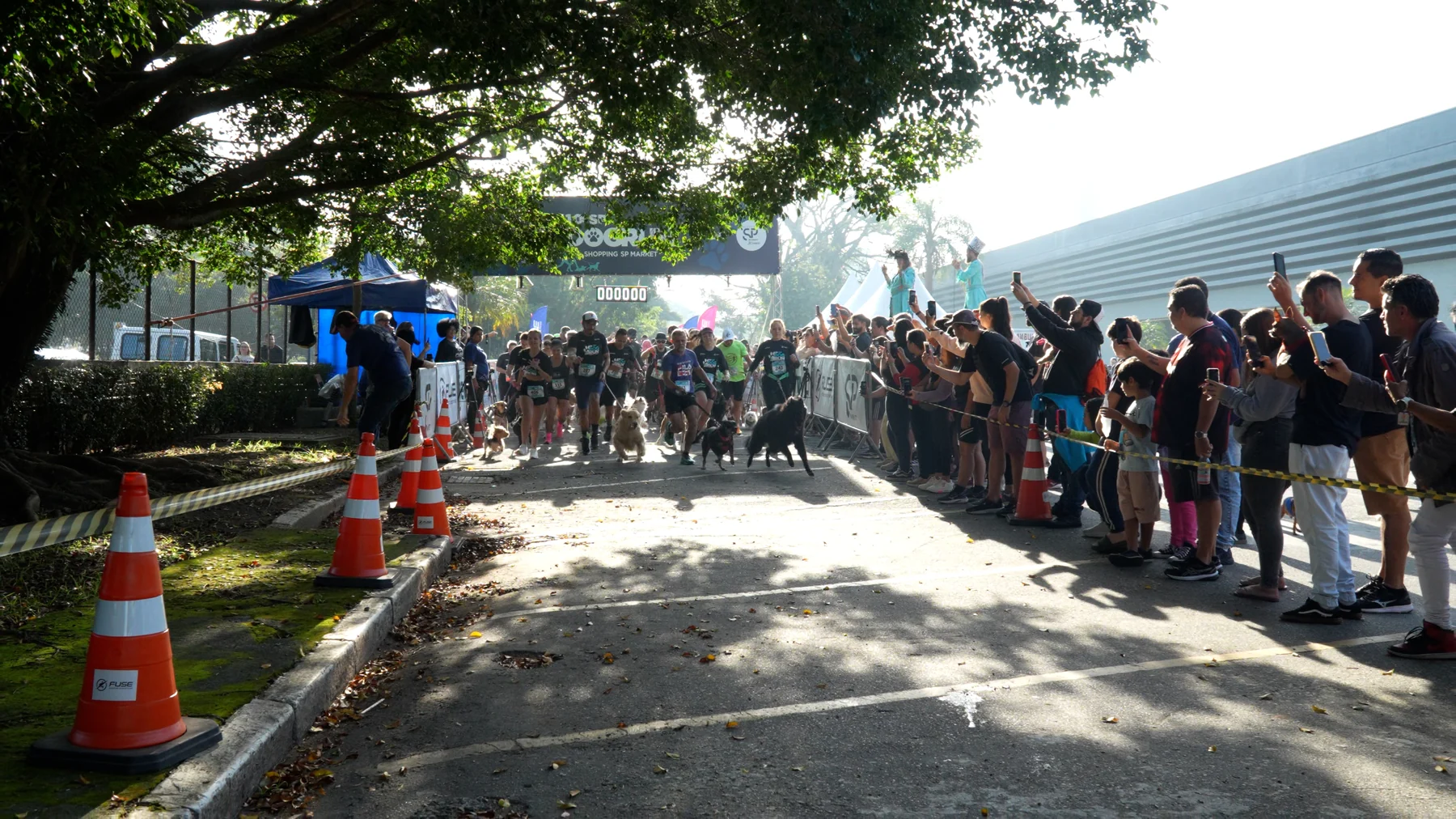 A corrida que une tutores e cães volta a São Paulo