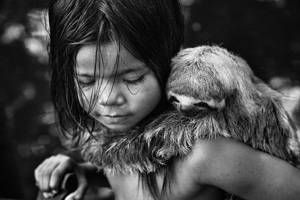 araquem 50 anos imagens que revelam o brasil featured