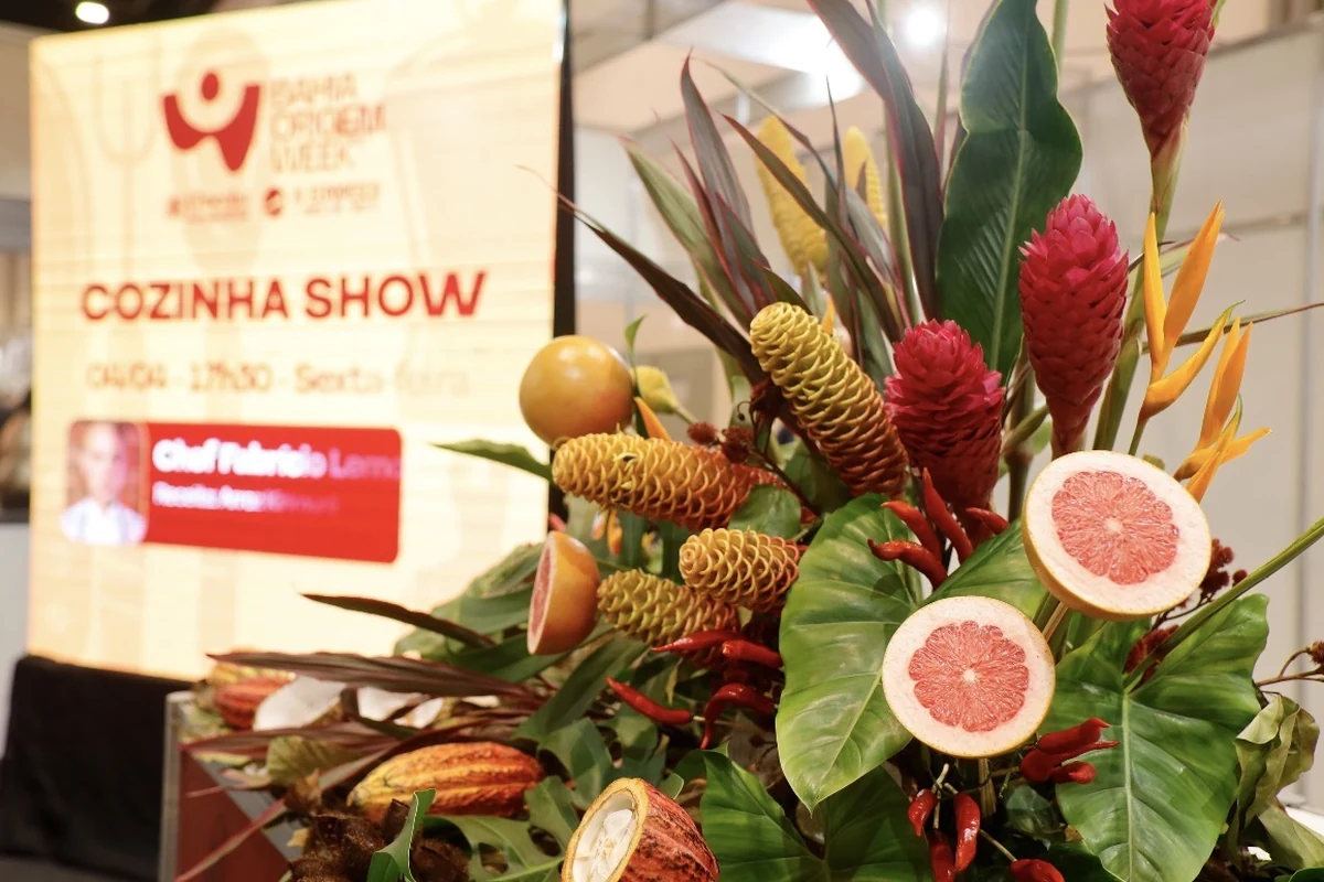 Bahia Origem Week amplia vitrine da economia baiana