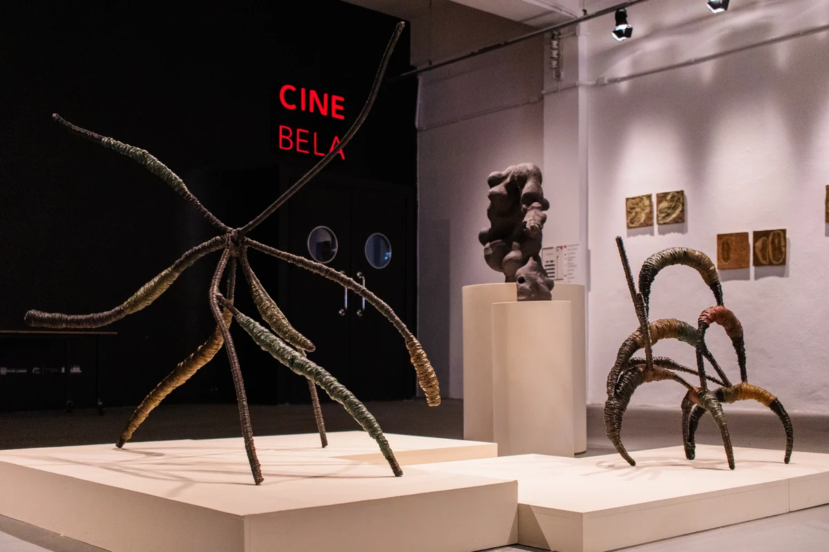 Galpão Bela Maré conecta cinema e território em junho