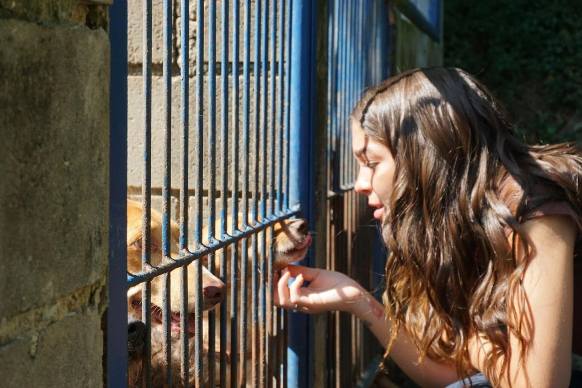 Mel Maia emociona ao defender adoção de animais