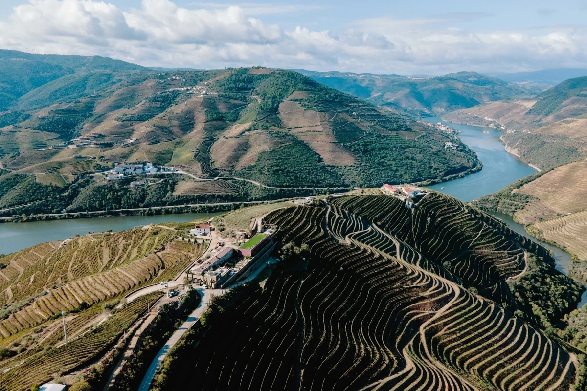 Menin Company reforça presença no Brasil com vinhos