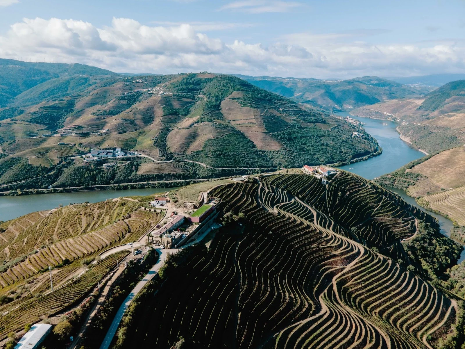 Menin Company reforça presença no Brasil com vinhos 1 Menin Company reforça presença no Brasil com vinhos